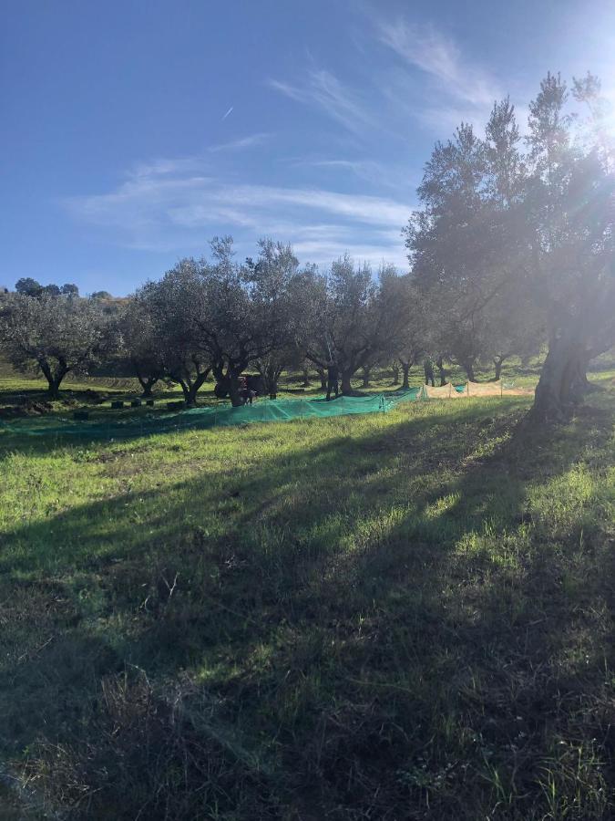 B&B La Casa Di Giuliana Cermignano Dış mekan fotoğraf