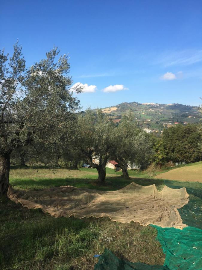 B&B La Casa Di Giuliana Cermignano Dış mekan fotoğraf