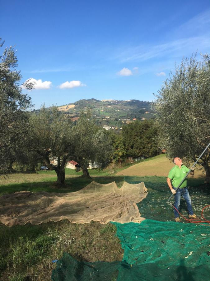 B&B La Casa Di Giuliana Cermignano Dış mekan fotoğraf