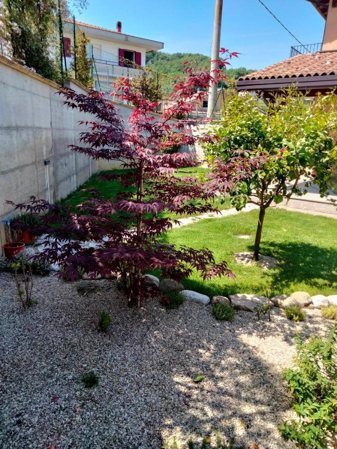 B&B La Casa Di Giuliana Cermignano Dış mekan fotoğraf