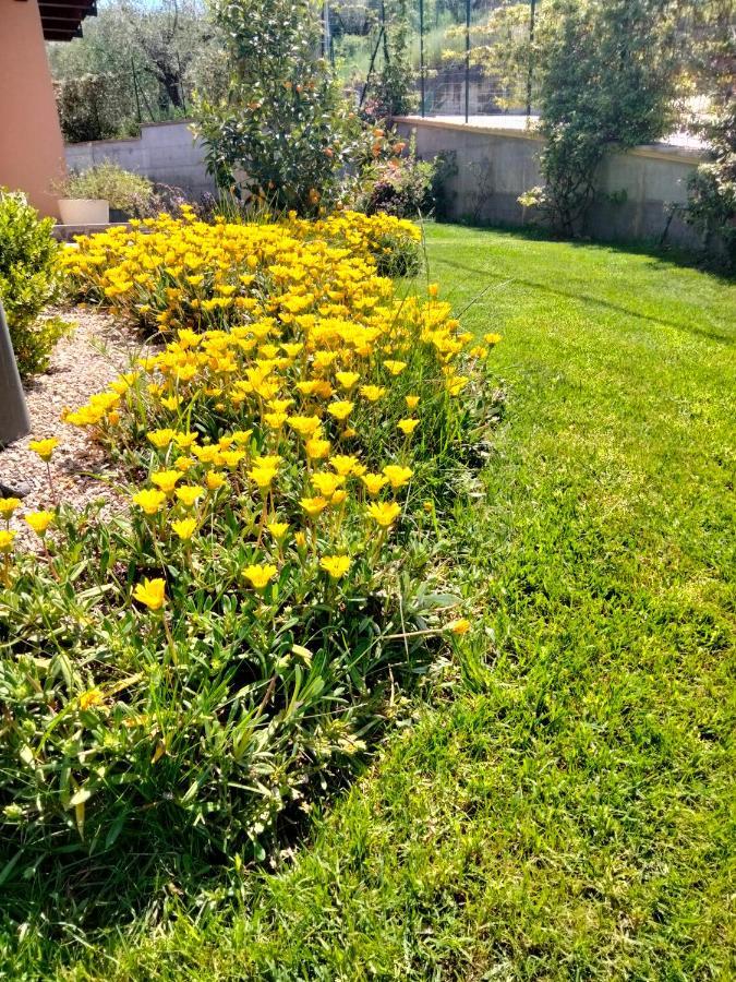 B&B La Casa Di Giuliana Cermignano Dış mekan fotoğraf