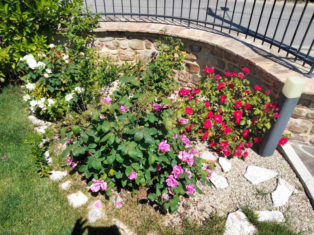 B&B La Casa Di Giuliana Cermignano Dış mekan fotoğraf